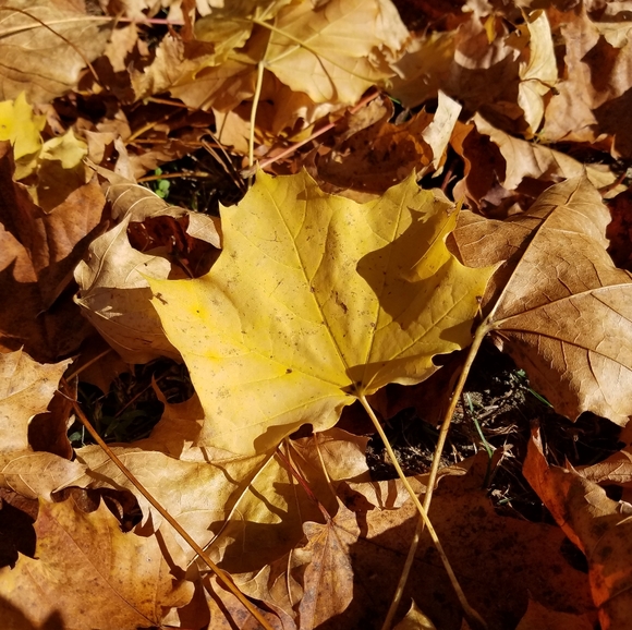 Meet your Posher, Maria - Picture 2 of 4